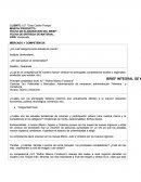 Guia para elaborar un Brief.