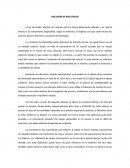 Ley de hooke DISCUSIÓN DE RESULTADOS