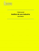 Análisis de una Industria, Entorno Económico.