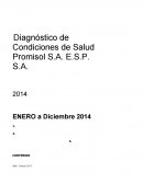 Diagnóstico de Condiciones de Salud Promisol S.A. E.S.P. S.A.