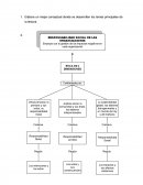 Responsabilidad social. Reseña.