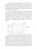 El desarrollo de procesos químicos sostenibles