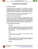 Informe de impacto ambiental.