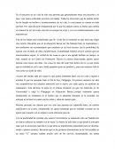 Ensayo Práctica profesional.