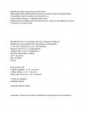 La investigación se desarrolló en la comunidad de Virgen del Valle