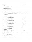 Ejemplo Resumé Generico.