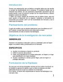 Manual organizacion.