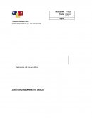 MANUAL DE INDUCCION LAP SAS.