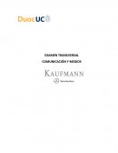 Plan de Medios Kaufmann.