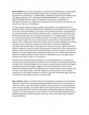 Macro ambiente en una mano de esperanza