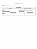 Tipo de ficha discriptivas.