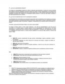 P1- ¿qué es la sustentabilidad ambiental?.