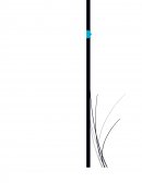 Carpeta muestra de eduacion fisica