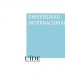 ANALISS DE LA ENTREVISTA REALIZADA AL ING. GODOY RUIZ GERENTE- PROPIETARIO DE ILE ALIMENTICIA DE LA CIUDAD DE LOJA (PRODUCTOR) PARA DETERMINAR LA OFERTA