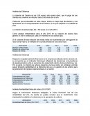 Análisis de eficiencia. Rentabilidad neta del activo