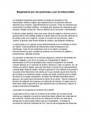 Resumen Respiramos Por Los Pulmones O Por La Mitocondria