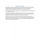 Resumen ejecutivo splah citrus.