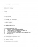 Manejo Higiénico De los Alimentos.