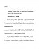 Estrctura organizacional de una empresa.