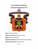 Título De La Práctica: Ensayo a la llama.