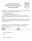 Trabajo AREA DE MALTRATO ANIMAL