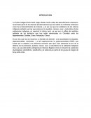 Ensayo cultura zenu.