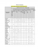 Matriz de importancia.