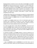 El Bonito Ensayo sobre la ceguera.