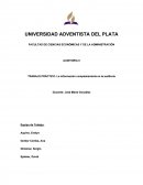 Informacion complementaria en la auditoria