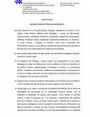INFORME DESCRIPTIVO PRACTICA PROFESIONAL III.