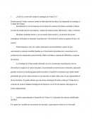 Analisis de caso Vintas.