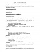 PLAN CONTABLE GUBERNAMENTAL.