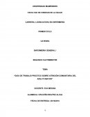 Guía de trabajo práctico sobre atención comunitaria del adulto mayor