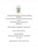 ENSAYO SOBRE LA MEMORIA A LARGO PLAZO