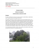 El pH de la lluvia en Junín de los Andes.