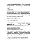 FAMILIA Y DISCAPACIDAD, SARTO MARTIN