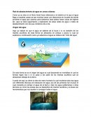 Red de abastecimiento de agua en zonas urbanas