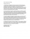Práctica Organización del trabajo