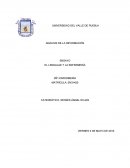 ANÁLISIS DE LA INFORMACIÓN ENSAYO EL LENGUAJE Y LA ENFERMERÍA