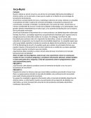 El VP de Marketing de Jeruvit