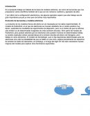 En el presente trabajo se hablará de los tipos de modelos atómicos, así como de las teorías que nos propusieron varios científicos también de lo que son los números cuánticos y ejemplos de ellos.