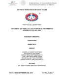 Influencia que tiene la lluvia ácida en el crecimiento y desarrollo de la flora