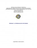 PERSONAS Y LA PERSONALIDAD DEL SER HUMANO