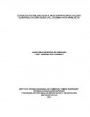 ESTUDIO DE FACTIBILIDAD DE UN PLAN DE EXPORTACIÓN DE CALZADO ELABORADO EN CUERO DESDE CALI, COLOMBIA HACIA MIAMI, EE.UU