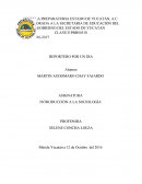 INTRODUCCIÓN A LA SOCIOLOGÍA. La sociología es la ciencia que se encarga de estudiar el comportamiento humano ante la sociedad.