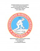 INVESTIGACION SOBRE LA CORTE DE CONSTITUCIONAL