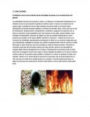 Conclución de daños al ambiente.