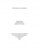 PERCEPCIONES DE LA CONTABILIDAD