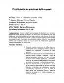 Planificación de prácticas del Lenguaje.