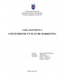 TAREA DESCRIPTIVA CONTENIDO DE UN PLAN DE MARKETING